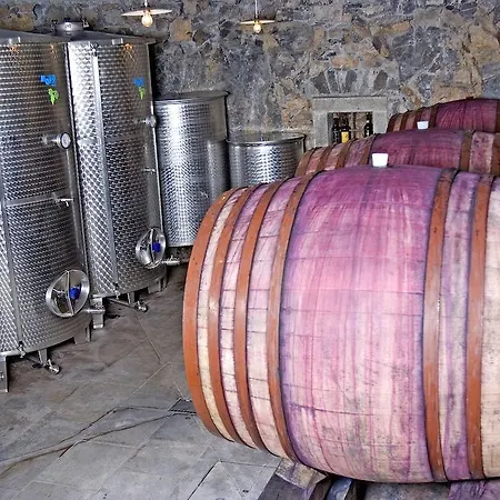 Tourist Farm Petelin-durcik