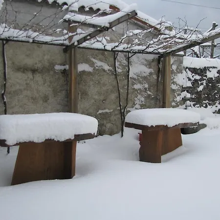 Tourist Farm Petelin-durcik Pliskovica